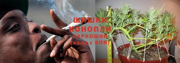 крисы Лагань